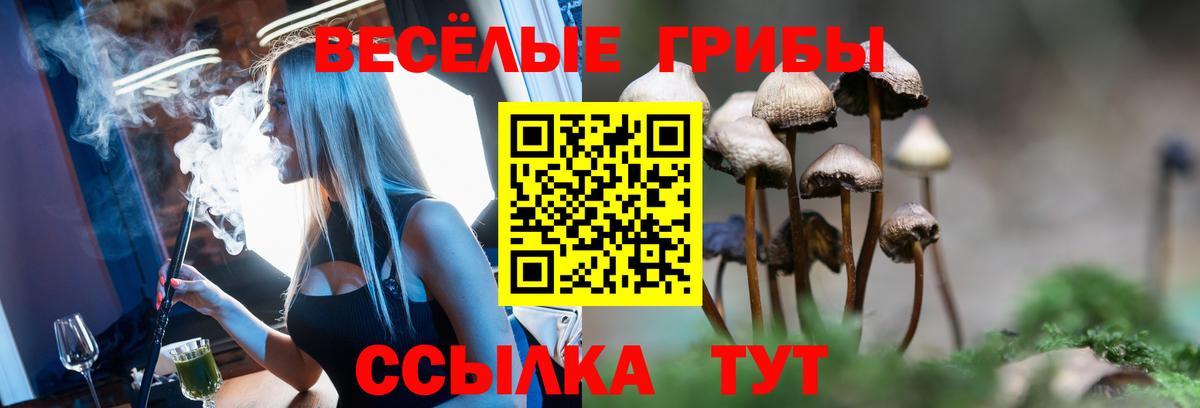 Югорск  Галлюциногенные грибы MAGIC MUSHROOMS  Вход с VPN 